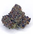 Gelato 41 THCa Flower *Private Reserve* - Image 2