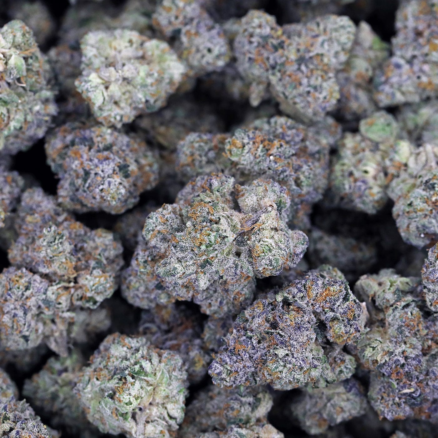 White Runtz THCa Flower *Private Reserve* - Image 3